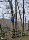 IMG20260129110931.jpg