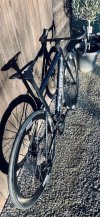 IMG_2503.jpeg