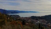 IMG_20260201_110025-01.jpeg
