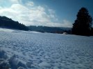 IMG_20260201_142545.jpg