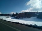 IMG_20260201_141747.jpg