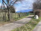 IMG_4810.jpeg
