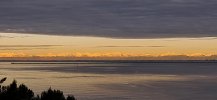20260208_080741.jpg