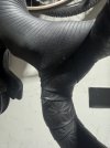 IMG_2021.jpeg