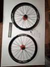 Ruote Elitewheels Drive 50D Shimano