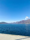 IMG_20260215_121812.jpg