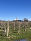 IMG_4830.jpeg