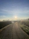 IMG_2445.jpeg