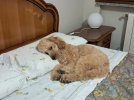 IMG-20260216-WA0015.jpg