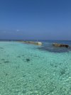 IMG_4606.jpeg