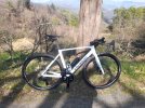 Colnago Prova.jpg