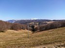 IMG_20260307_131626.jpg