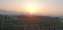20260308_070601.jpg