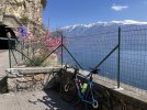 IMG_4988.jpeg