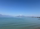 IMG_4884.jpeg