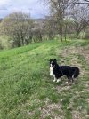 IMG_5017.jpeg