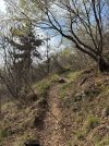 IMG_4910.jpeg