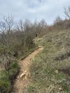 IMG_4923.jpeg