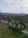 IMG_1128.JPEG