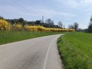 IMG_5019.jpeg