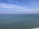 IMG_5020.jpeg