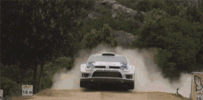 wheee-rally-car.gif wheee-rally-car.gif