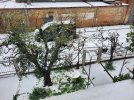 20260326_100726.jpg