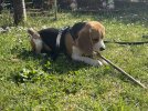 IMG_8801.jpeg