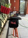 IMG_5851.jpeg