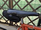 IMG_5846.jpeg