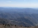 IMG_8128.jpeg