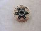 DSCN7170.JPG