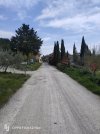 IMG20260403105434.jpg