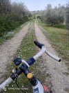 IMG20260403112021.jpg