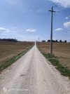 IMG20260403122426.jpg