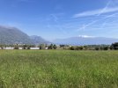 IMG_5039.jpeg
