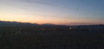 20260404_064157.jpg
