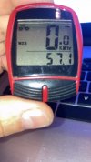 Garminchia max Garlasco.jpeg