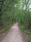 20260411_190200.jpg