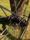 IMG_9926.jpeg
