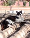 IMG_20260417_184628.jpg