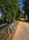 20250810_073433.jpg 20250810_073433.jpg