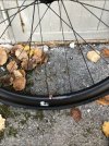 IMG_1257.jpeg