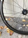 IMG_1253.jpeg