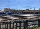 IMG_5094.jpeg