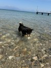 IMG_5339.jpeg