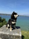 IMG_5344.jpeg