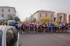 Maratonina ferriera (1).jpg