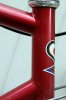 de rosa_4.jpg