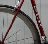 de rosa_5.jpg